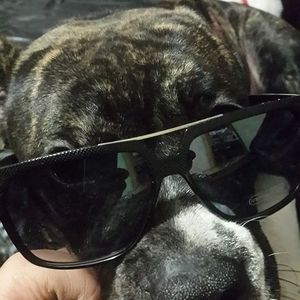 Meet your Posher, Hector